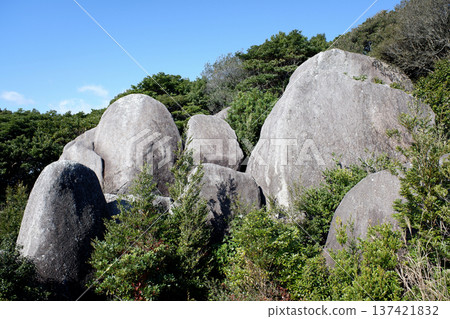 高知縣東陣場遺址和東陣石巨石 高知縣東陣場遺址和東陣石巨石 137421832