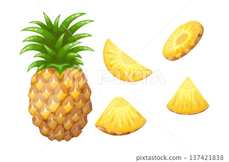 A set of vector images of a whole pineapple and its slices A set of vector images of a whole pineapple and its slices 137421838