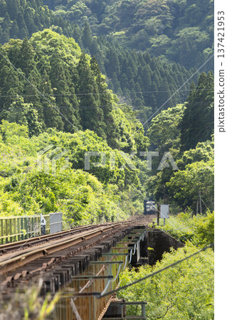 Nichinan City, Miyazaki Prefecture - Nichinan Line Kiha 40 running through the Taninoshiro Tunnel and fresh greenery 137421953