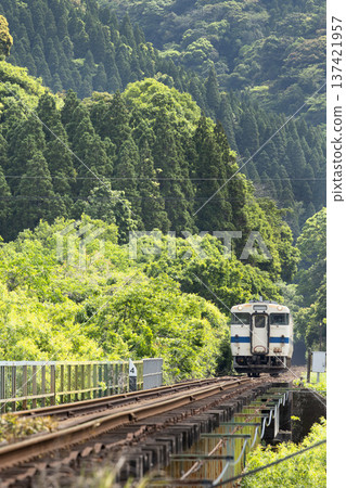 Nichinan City, Miyazaki Prefecture - Nichinan Line Kiha 40 running through the Taninoshiro Tunnel and fresh greenery 137421957