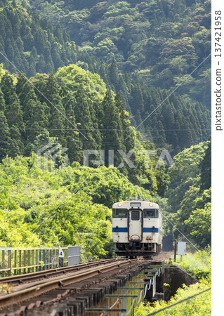 宮崎縣日南市－日南紀羽40號列車穿越谷之城隧道，沿途綠意盎然。 137421958