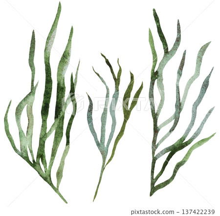 Watercolor hand drawn twigs with green leaves isolated illustration, wedding stationery element Watercolor hand drawn twigs with green leaves isolated illustration, wedding stationery element 137422239