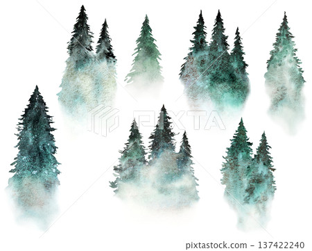 Hand drawn watercolor green spruce or pine tree misty forest, winter isolated illustration Hand drawn watercolor green spruce or pine tree misty forest, winter isolated illustration 137422240
