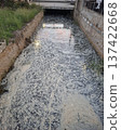 Thick white foam covers the surface of a narrow canal in an urban area. The water is polluted, and concrete walls line the waterway. Grass grows along the edges. 137422668