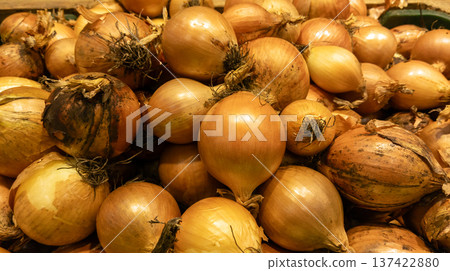 Freshly harvested onions. Heaps of vegetables at the farmers market. Organic food Freshly harvested onions. Heaps of vegetables at the farmers market. Organic food 137422880