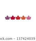 Five vibrant maple leaves row display gradient of colors from purple to orange, symbolizing beauty of autumn. leaves are isolated transparency background, highlighting their intricate details 137424039