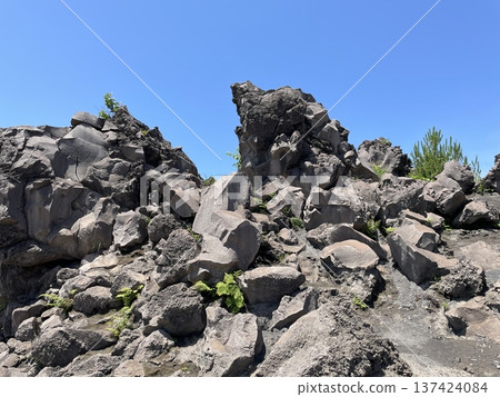 Rugged rocky area Rugged rocky area 137424084