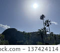 Palm trees and sun 137424114
