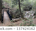 Bridge and river on mountain path 137424162