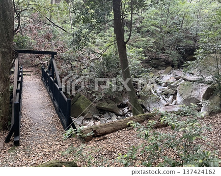 Bridge and river on mountain path 137424162