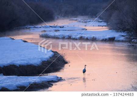 The view from Otowa Bridge 137424483