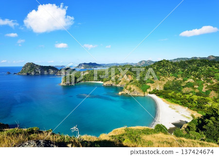 View from Nakayama Pass 137424674