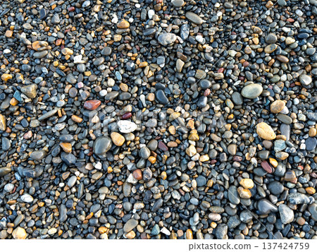 背景：一片礫石地 137424759