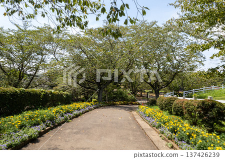 Narita Dream Farm August Scenery Narita Dream Farm August Scenery 137426239