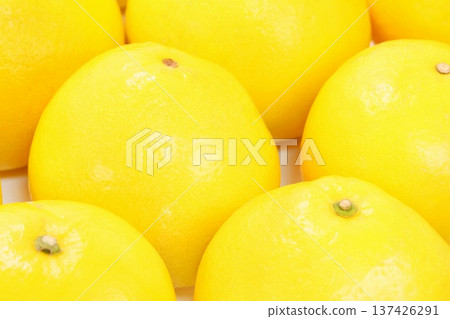 Tosa Buntan (Pummelo), a large citrus fruit from Kochi Prefecture 137426291