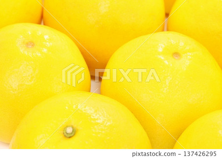 Tosa Buntan (Pummelo), a large citrus fruit from Kochi Prefecture Tosa Buntan (Pummelo), a large citrus fruit from Kochi Prefecture 137426295