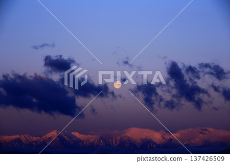 晨曦與月光 137426509