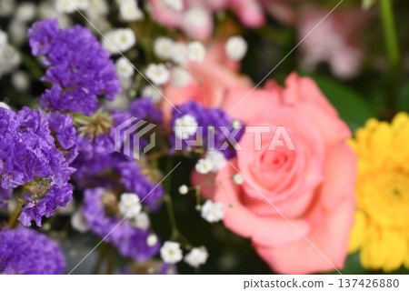 色彩繽紛的美麗花朵 色彩繽紛的美麗花朵 137426880
