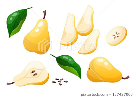 Vector set of whole pears, halves and slices 137427003