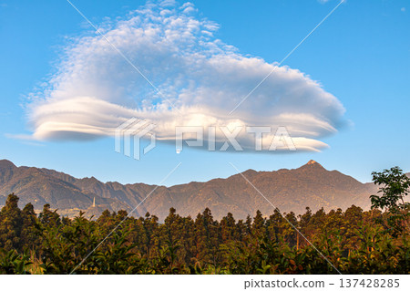 莫根羅特 - 屋久島，眾神居住的地方（春季） 137428285