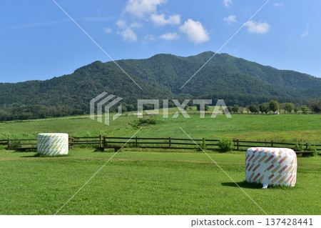 Hiruzen Jersey Land,岡山縣,牧場,牧草 Hiruzen Jersey Land,岡山縣,牧場,牧草 137428441
