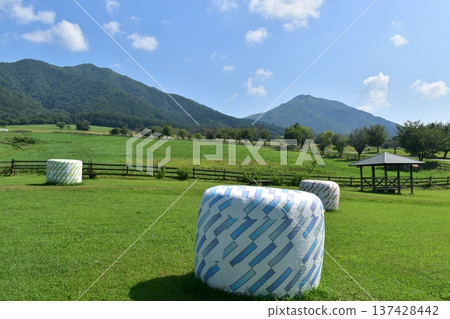 Hiruzen Jersey Land，岡山縣，牧場，牧草 137428442
