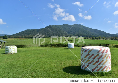 Hiruzen Jersey Land，岡山縣，牧場，牧草 137428443