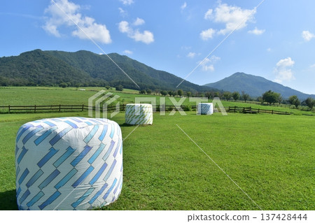 Hiruzen Jersey Land,岡山縣,牧場,牧草 Hiruzen Jersey Land,岡山縣,牧場,牧草 137428444