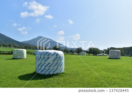 Hiruzen Jersey Land,岡山縣,牧場,牧草 Hiruzen Jersey Land,岡山縣,牧場,牧草 137428445
