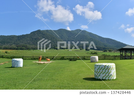 Hiruzen Jersey Land,岡山縣,牧場,牧草 Hiruzen Jersey Land,岡山縣,牧場,牧草 137428446