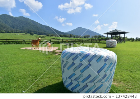 Hiruzen Jersey Land，岡山縣，牧場，牧草 137428448