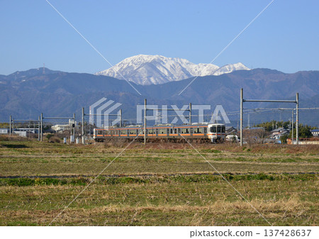 JR東海313系列車在湛藍的天空下行駛，背景是白雪皚皚的伊吹山。 137428637