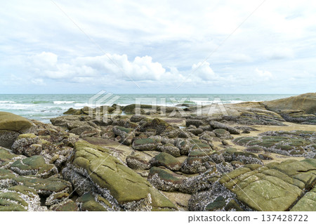Scenic view of a rocky beach with green moss and barnacles on boulders. The blue ocean waves reach the shore under a bright cloudy sky. Beautiful natural coastal landscape for travel background. Scenic view of a rocky beach with green moss and barnacles on boulders. The blue ocean waves reach the shore under a bright cloudy sky. Beautiful natural coastal landscape for travel background. 137428722