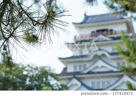 Fukuyama Castle seen through the pine trees Fukuyama Castle seen through the pine trees 137428973