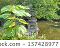 日式庭院燈籠和茂盛的植物 137428977