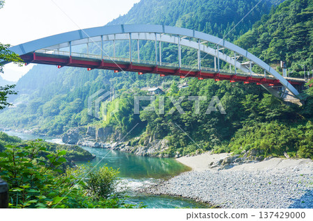 橫跨吉野川和大步危谷的拱橋 橫跨吉野川和大步危谷的拱橋 137429000