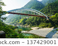 橫跨吉野川和大步危谷的拱橋 137429001