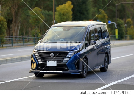 Minivan image Minivan image 137429131