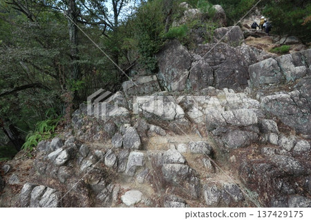 六甲山遠足徑(岩石花園) 六甲山遠足徑(岩石花園) 137429175