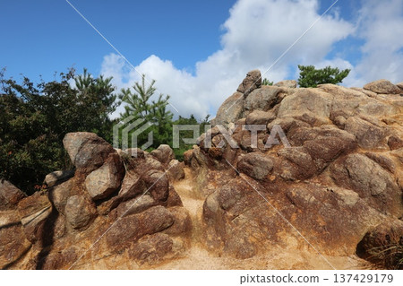 六甲山吹吹岩 六甲山吹吹岩 137429179