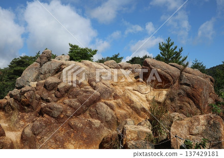 六甲山吹吹岩 137429181