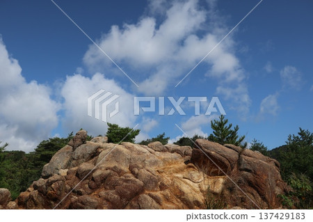 六甲山吹吹岩 137429183