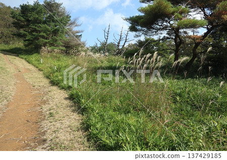 Mt. Rokko山徑 137429185