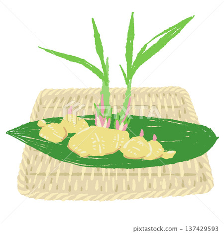 Ginger (leaf ginger) and a square bamboo strainer set Ginger (leaf ginger) and a square bamboo strainer set 137429593