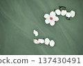 The cherry blossom petals that made everyone happy reappear on the water's surface 137430491
