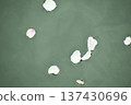 The cherry blossom petals that made everyone happy reappear on the water's surface 137430696