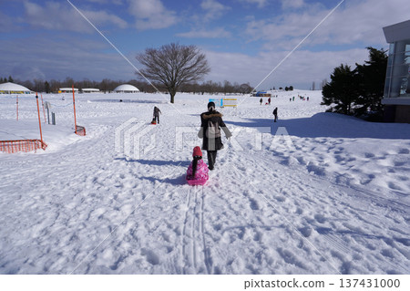 Sledding (pulling a sled) 02 137431000