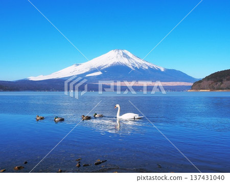 Yamanashi Prefecture, Lake Yamanaka on a winter morning, February Yamanashi Prefecture, Lake Yamanaka on a winter morning, February 137431040