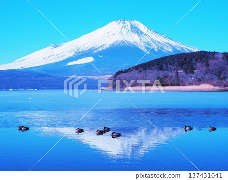 Yamanashi Prefecture, Lake Yamanaka in midwinter, February Yamanashi Prefecture, Lake Yamanaka in midwinter, February 137431041