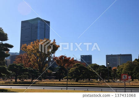 東京千代田區皇宮廣場景色 東京千代田區皇宮廣場景色 137431068